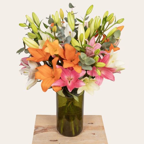 Monsieur Marguerite livraison fleurs françaises