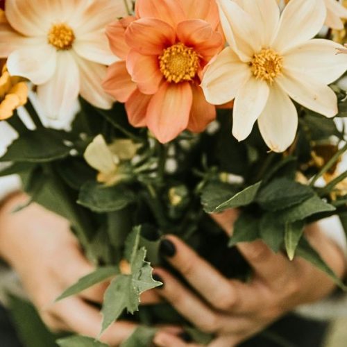 Quelles fleurs offrir pour un anniversaire ?