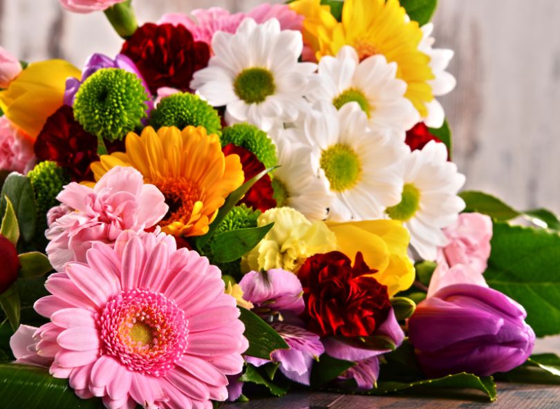 Livraison fleurs anniversaire multicolore comparaison bloomyrama