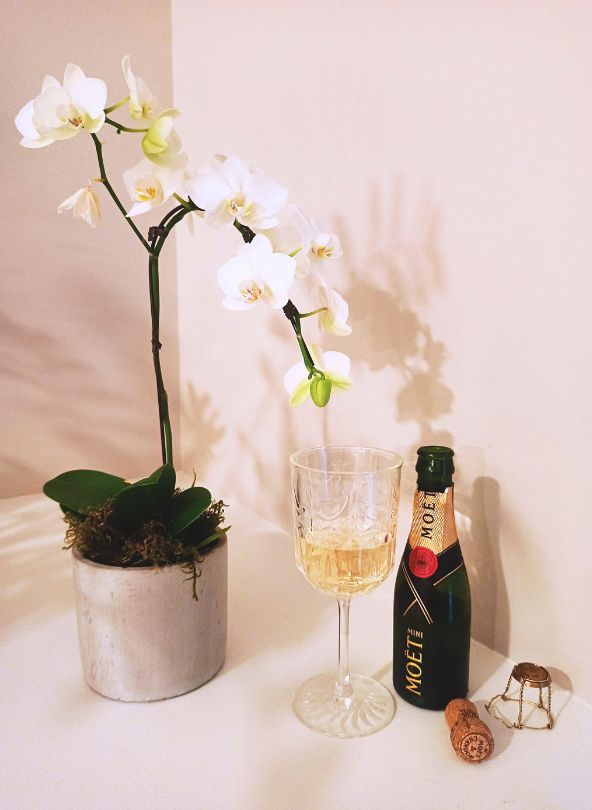 Livraison de fleurs et cadeaux champagne comparaison bloomyrama