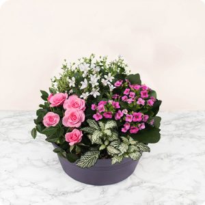 Composition florale pour deuil fleurs de cœur 123 fleurs bloomyrama