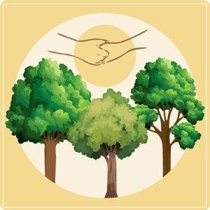 arbre hommage livraison 123fleurs comparateur bloomyrama