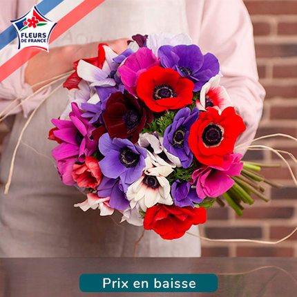 anémones comparaison bouquets bloomyrama
