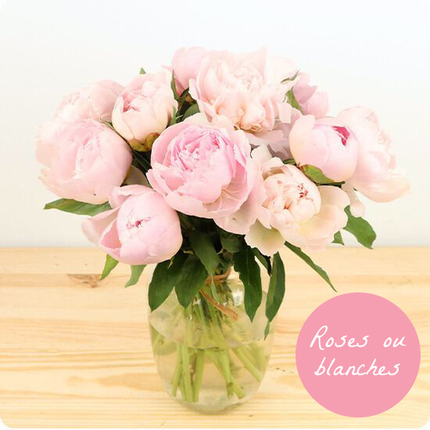 Brassée de pivoines blanches ou roses 123fleurs bloomyrama
