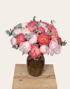 bouquet d'exception de pivoines roses monsieur marguerite comparateur de fleurs bloomyrama