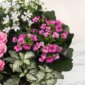 Composition florale pour deuil fleurs de cœur 123 fleurs bloomyrama