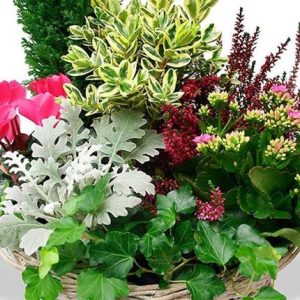 composition plantes deuil 123fleurs bloomyrama