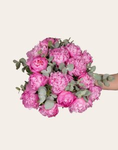 Livraison bouquet de pivoines Monsieur marguerite comparaison bloomyrama