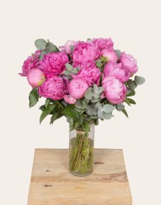 pack maman bouquet de pivoines Monsieur Marguerite comparateur bloomyrama