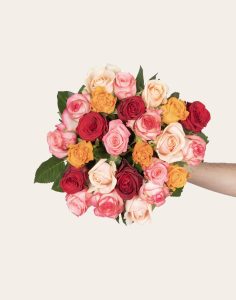 Botte de roses multicolores livraison monsieur marguerite comparateur bloomyrama