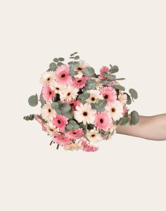 Bouquet de germinis roses livraiosn monsieur marguerite comparaison bloomyrama