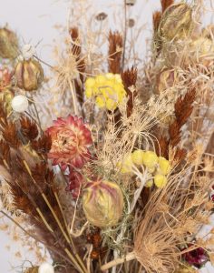 Bouquet de fleurs séchées tons crème monsieur marguerite comparaison bloomyrama