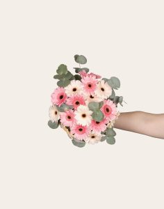 bouquet de germinis livraison fleurs de saison comparaison bloomyrama