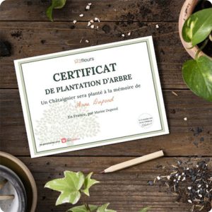 arbre hommage livraison 123fleurs comparateur bloomyrama