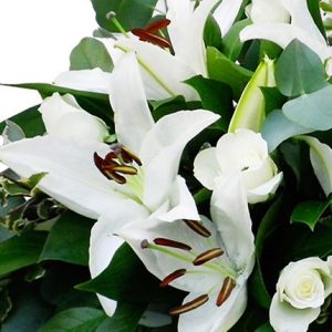 Livraison bouquet de lys comparateur bloomyrama