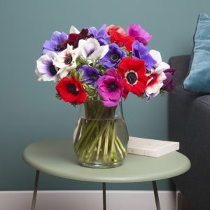 anémones livraison bouquets bloomyrama