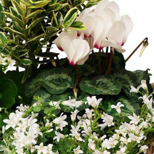 composition deuil mémoire du cœur bloomyrama