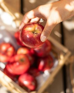 pommier Isaac livraison arbre bergamotte bloomyrama