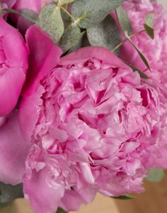 Livraison bouquet de pivoines Monsieur marguerite comparaison bloomyrama