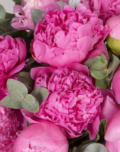 pack maman bouquet de pivoines Monsieur Marguerite comparateur bloomyrama