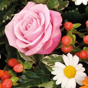 Gerbe de fleurs voyage céleste 123fleurs bloomyrama