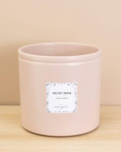 Hibiscus Héléna plantes intérieur bergamotte bloomyrama