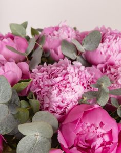 Livraison bouquet de pivoines Monsieur marguerite comparaison bloomyrama