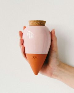 cadeaux et accessoires plantes intérieur bergamotte bloomyrama