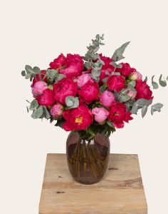 bouquet d'exception de pivoines roses monsieur marguerite comparateur de fleurs bloomyrama